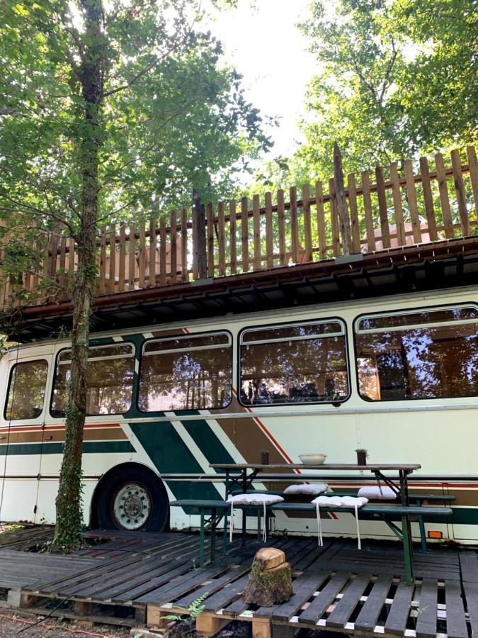 Magic Roof Top Bus With Big Bath In The Tree Forest! Mimizan-Plage Kültér fotó