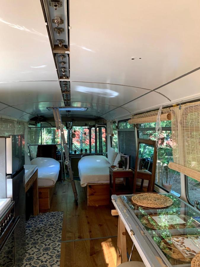 Magic Roof Top Bus With Big Bath In The Tree Forest! Mimizan-Plage Kültér fotó